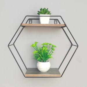 Wall Shelf: Hexagon 2 Shelf