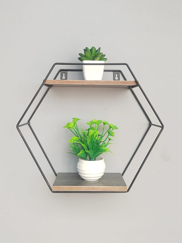 Wall Shelf: Hexagon 2 Shelf
