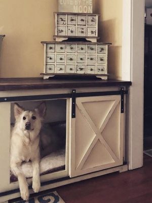 Dog Kennel with barn doors