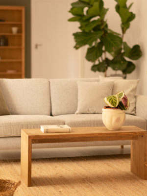Solid Wood Coffee Table