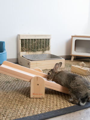 Bunny Seesaw