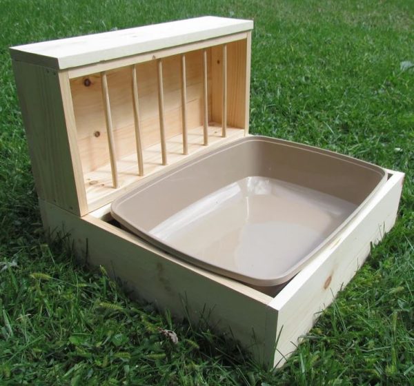 Bunny Feeder and Litter Box