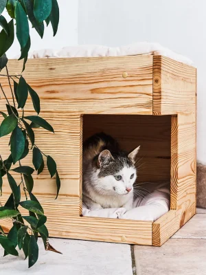 Cat House with solid pine