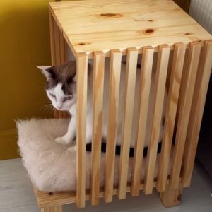 Cat Sleeper Box with Cushion