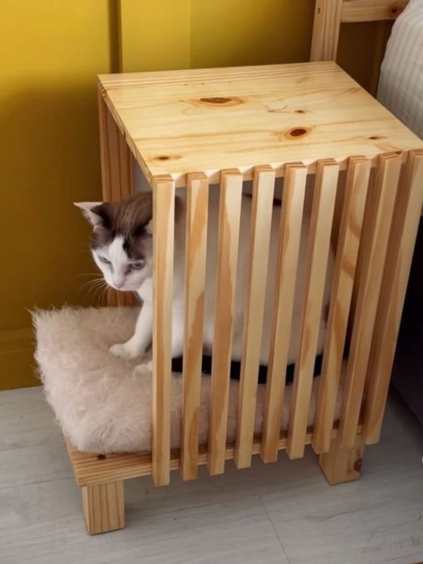 Cat Sleeper Box with Cushion