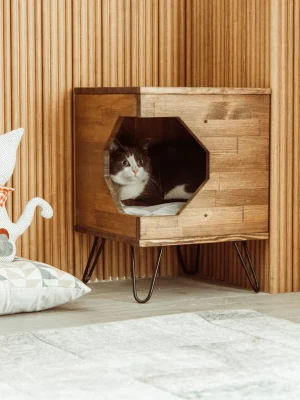 Stylish Cat House with steel hair pin legs