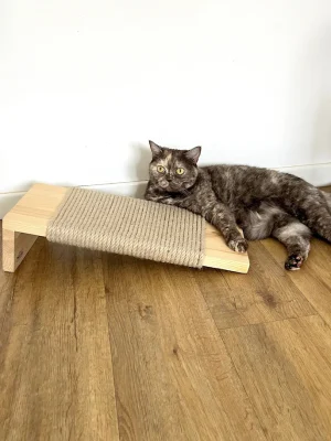 Sturdy Cat Scratcher