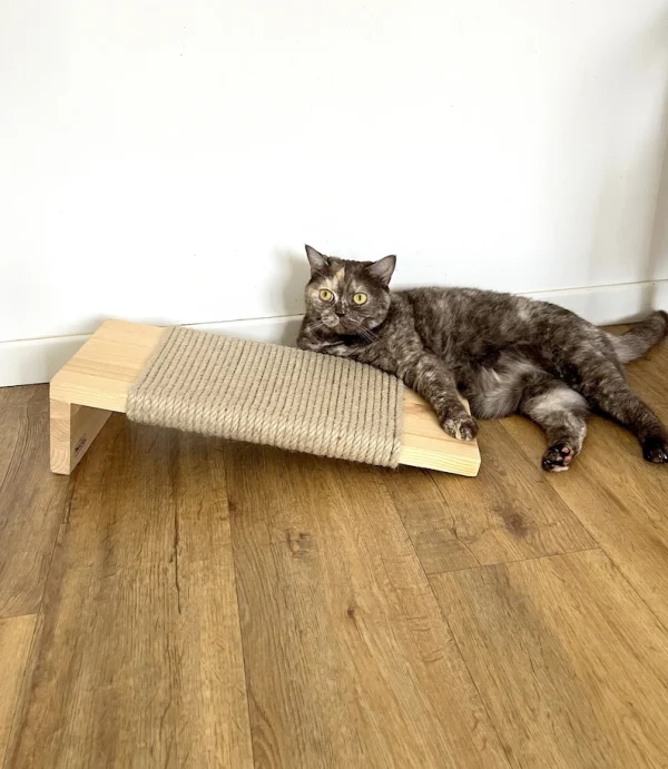 Sturdy Cat Scratcher